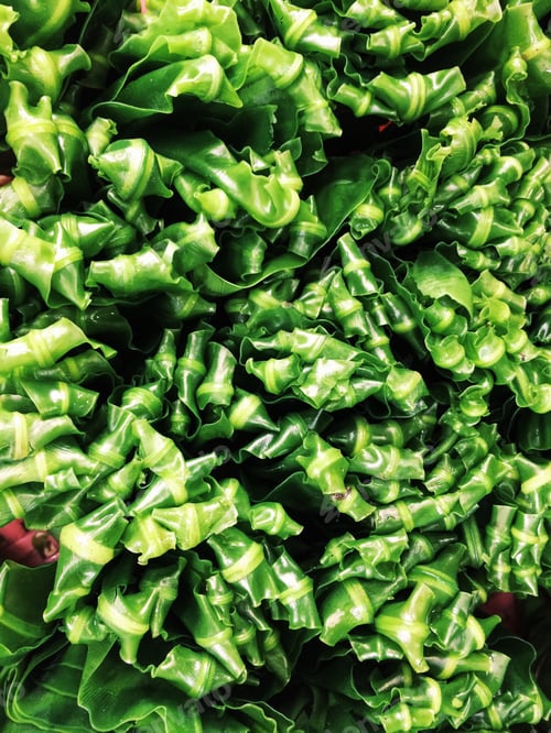 Preview: Full frame shot on the salad leaves