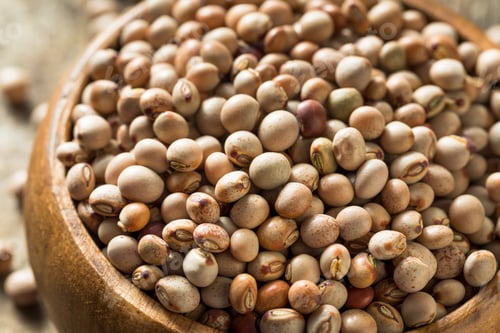 Preview: Organic Dry Toor Whole Pigeon Peas