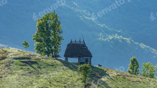 Preview: Old Romanian Cottage