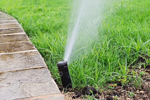 Preview: Automatic lawn sprinkler watering. Sprinkler with automatic system.irrigation system watering lawn