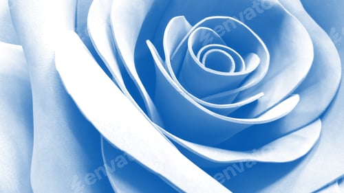 Preview: blue artificial rose close up