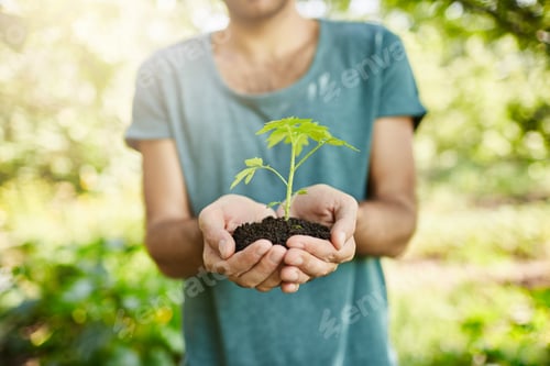 Preview: Close up shot of dark-skinned man in blue t-shirt holding plant with green leaves in hands. Gardener