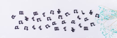 Preview: Row of musical black notes and dried flowers top view web banner