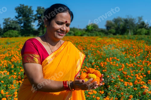 Preview: Indian woman collect marigold flower in beautiful garden.