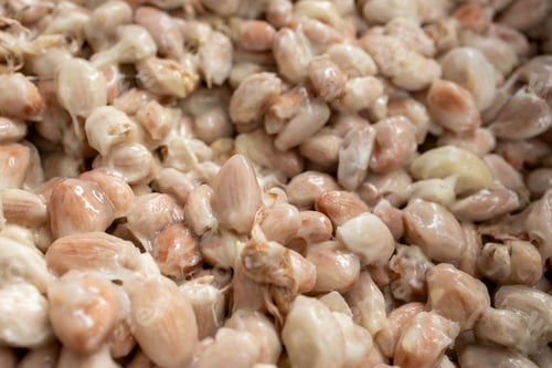 Preview: Cocoa beans and cocoa pod on a wooden surface.