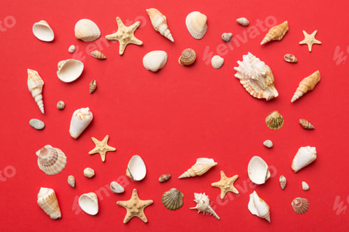 Preview: Summer time concept Flat lay composition with beautiful starfish and sea shells