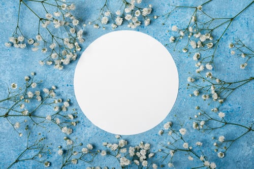 Preview: Blue spring floral background. Round frame from flowers