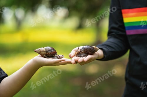Preview: Two peoples holding a large Achatina snails in his palm