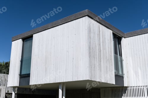 Preview: Modern House with wood planks cladding