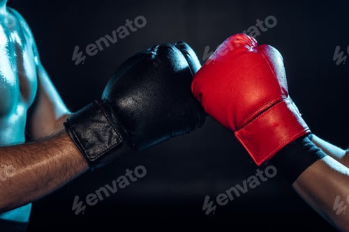 Preview: Partial view of two boxers in boxing gloves touching hands on black