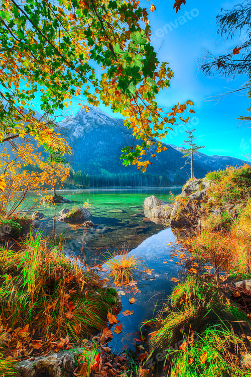 Preview: Fantastic autumn sunrise of Hintersee lake. Beautiful scene of trees on a rock island.