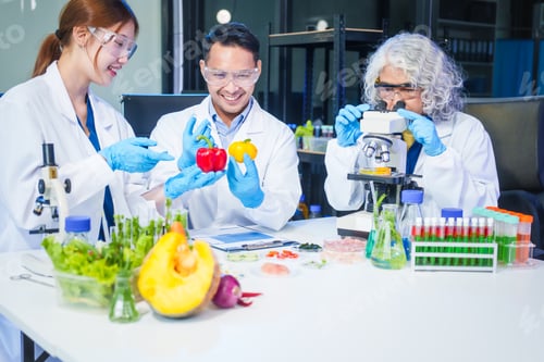Preview: A male scientist and two women conduct plant research in a laboratory. microscopes, petri dishes