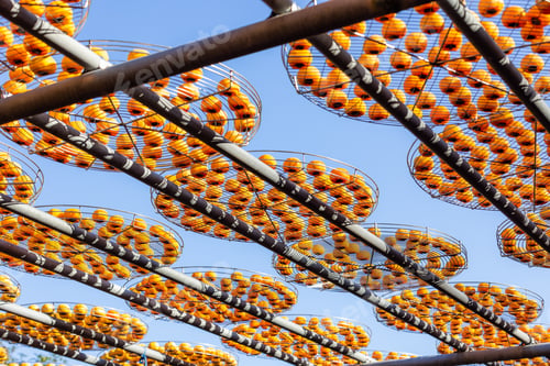 Preview: Sun dried persimmon fruit dried persimmon processing