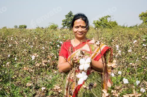 Preview: Happy Indian woman in a cotton field, India.