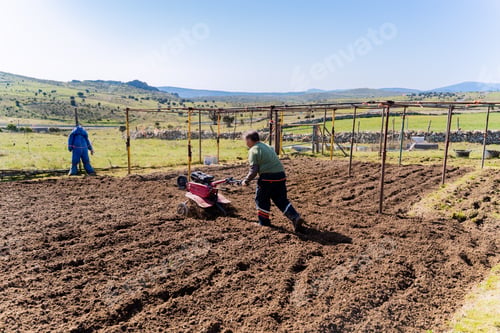 Preview: Senior man plowing the land for harvesting