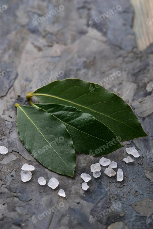 Preview: Fresh bay leaves and salt