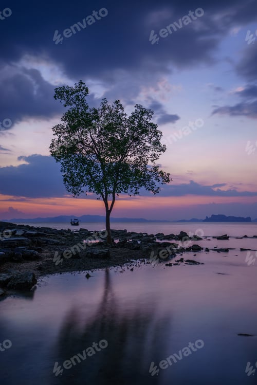 Preview: Tropical beach at sunset