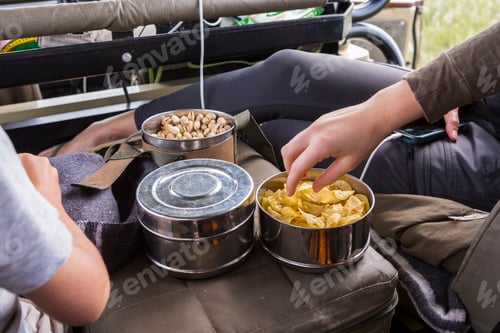 Preview: hands reaching for snacks in safari vehicle
