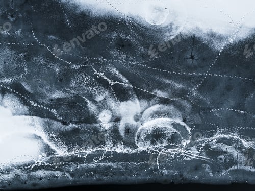 Preview: Animal traces on melting ice in winter.
