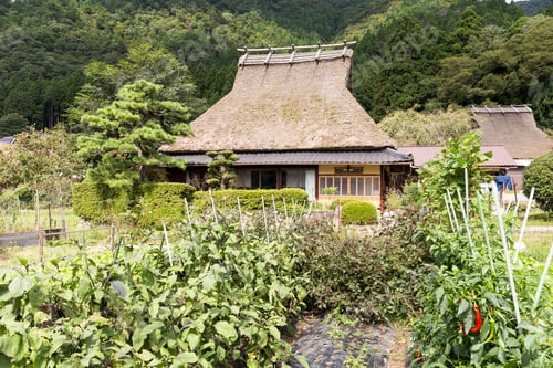 Preview: Miyama village