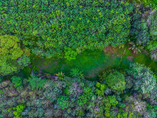Preview: beautiful morning view from Indonesia of mountains and tropical forest