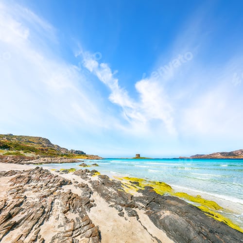 Preview: Unbelivable morning view of famous La Pelosa beach and rocky shore near Torre della Pelosa