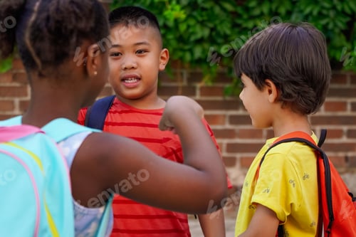 Preview: multiethnic kids meeting at the school entrance