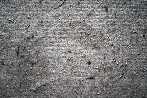 Preview: Dirty rug with cat hair and dust in rug. Dirty rug or carpet texture background.