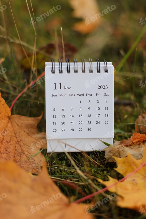 Preview: table calendar concept and copy space. November 2023 monthly calendar by maple leaves nature