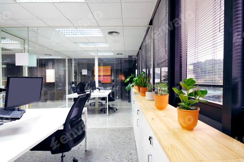 Preview: modern open space office with computer monitors on white desks