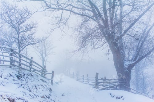 Preview: Winter landscape in mountains