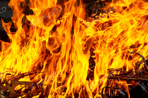 Preview: Macro shot of bonfire, white smoke, hot, glowing coal and fire