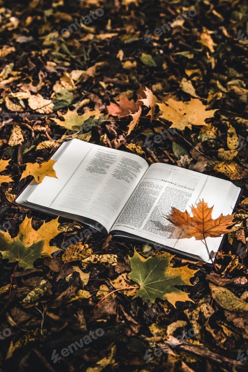 Preview: Holy Bible on top of fallen autumn leaves