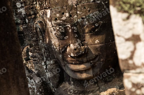 Preview: Ruins of Bayon Temple in Angkor wat in Siem Reap, Cambodia