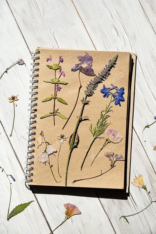 Preview: Pressed dried real flowers and natural herbs arranged collage an old notebook.