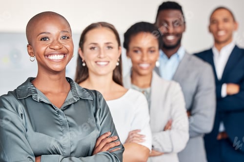 Preview: Portrait, teamwork and success with a female leader, CEO or manager and her team in a line in the o
