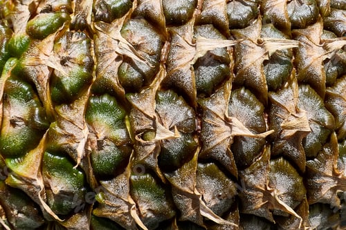 Preview: Close up of texture of peel of pineapple. Ananas details background. Tropical fruit wallpaper.