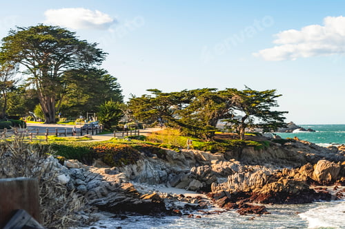 Preview: Rocky coastline on Pacific Grove, California.
