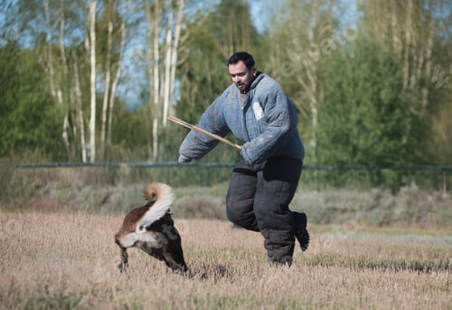 Preview: attack dog