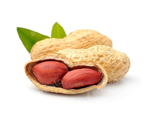 Preview: Roasted Peanuts with Green Leaves on White