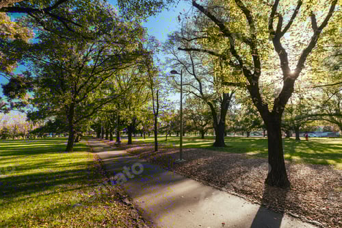 Preview: Darling Gardens in Clifton Hill Melbourne Australia