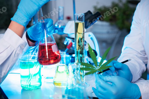 Preview: A group of young scientists are conducting experiments in the lab using a microscope.