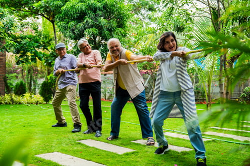 Preview: Senior playing tug of war outdoors, Indian old friends having fun in group reunion garden sport