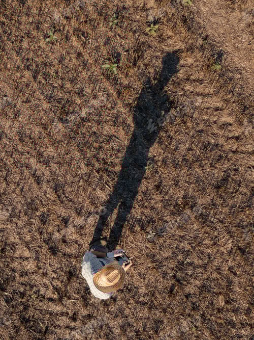 Preview: Top view of male farmer flying a drone in field