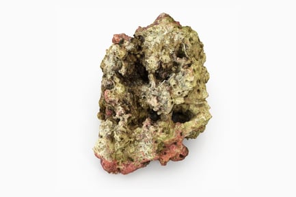 Preview: Porous Fiji Reef Rock
