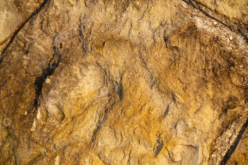 Preview: The Stone Has A Large Background Image