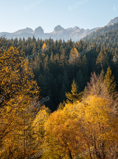 Preview: Autumn in the mountains