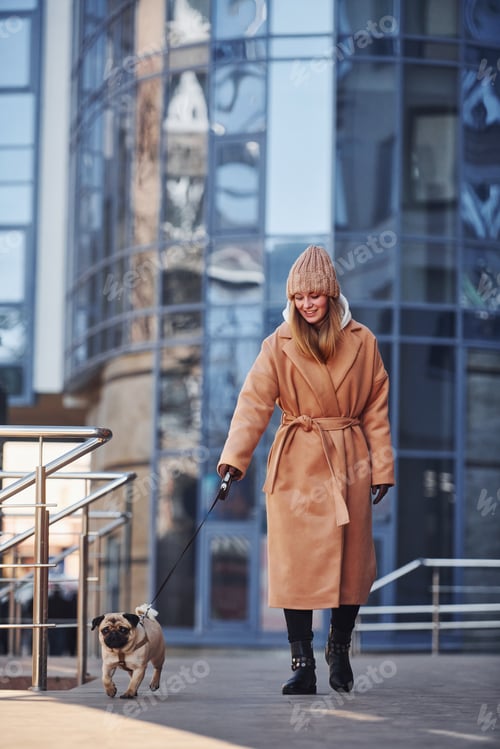 Preview: Woman in warm clothes have a walk with her little pug dog near business building that on background