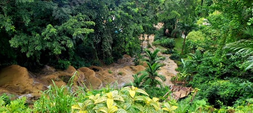Preview: Picturesque waterfall in a lush green tropical forest. Jamaica.