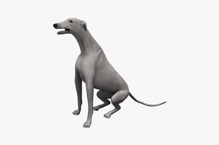 Preview: Greyhound in profile with open mouth